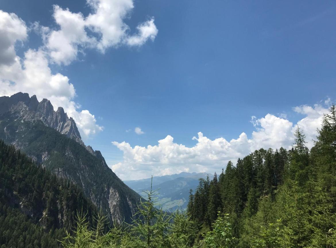 The Dolomiti View Lejlighed Debant Eksteriør billede